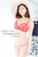 00333 - Highclass Lingerie [2013-11-29]